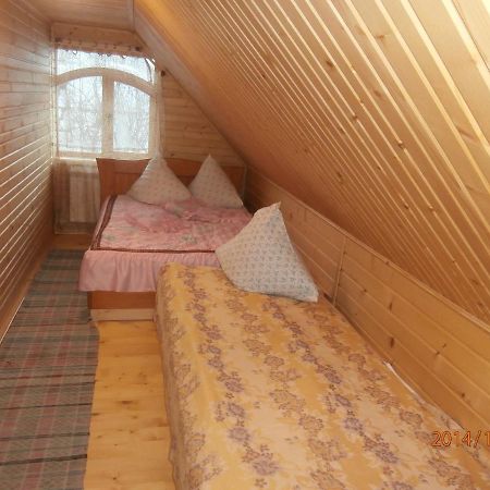 Karpatskiy Domyk イズキ エクステリア 写真